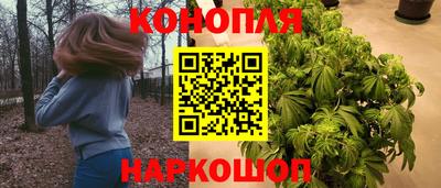 прущие крисы Абакан