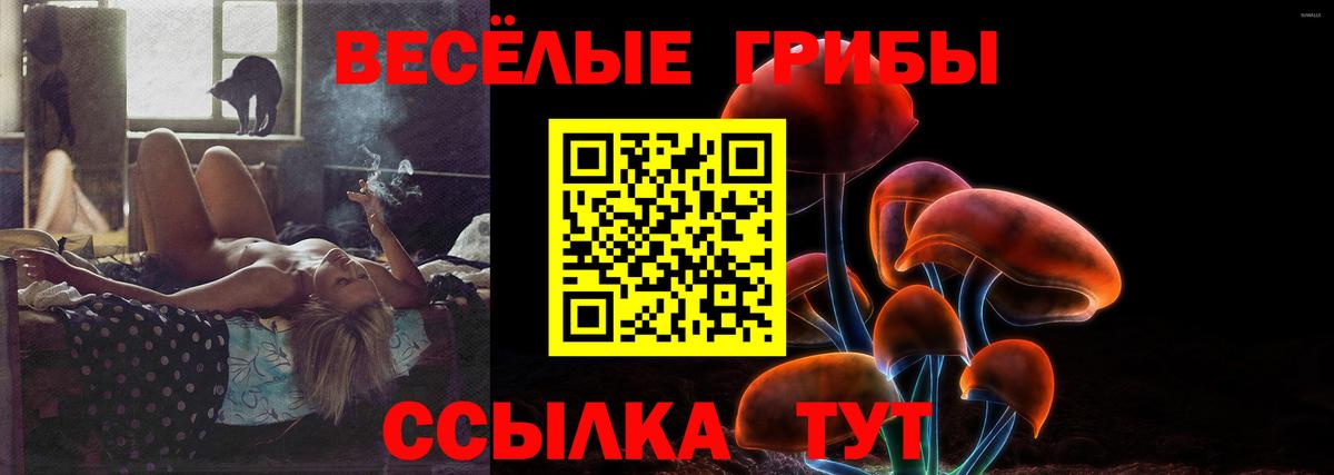 Псилоцибиновые грибы прущие грибы  Вход с VPN  Анапа 